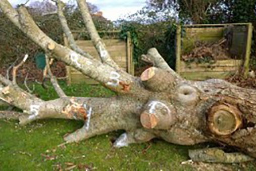 log
