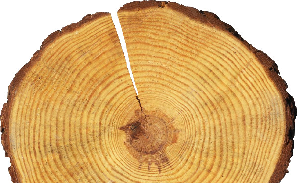 log