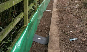 newt-fencing